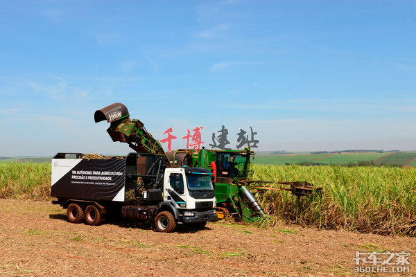 沃尔沃自动卡车收甘蔗 竟能提高亩产量
